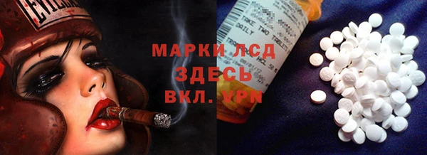 шишки Алексин