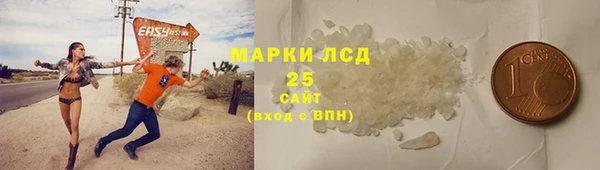 шишки Алексин