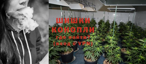 шишки Алексин