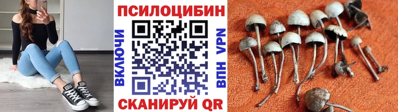 Псилоцибиновые грибы Psilocybe  Оса 